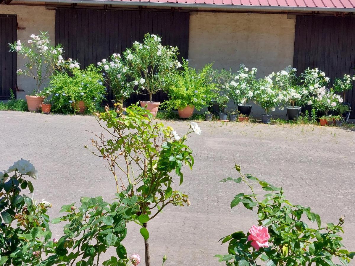 Landpartie Apartment Freckenfeld Luaran gambar