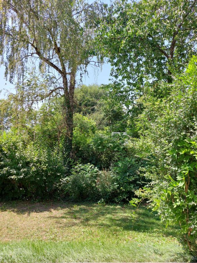 Landpartie Apartment Freckenfeld Luaran gambar